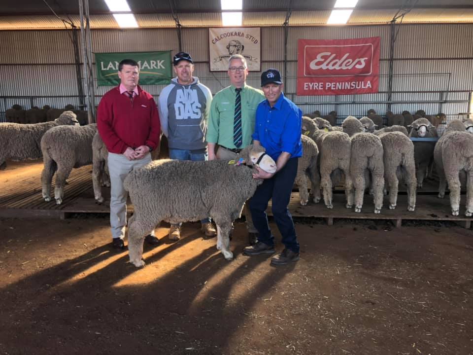 2019 Ram Sale Results Calcookara Stud